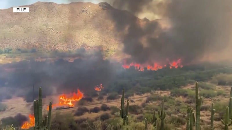 The U.S. Environmental Protection Agency pulled funding for Flagstaff's wildfire resources...