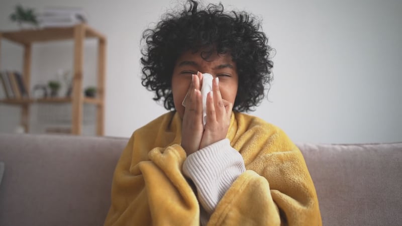 Allergists say there is more pollen in the air thanks to the wet winter and monsoons in Arizona.