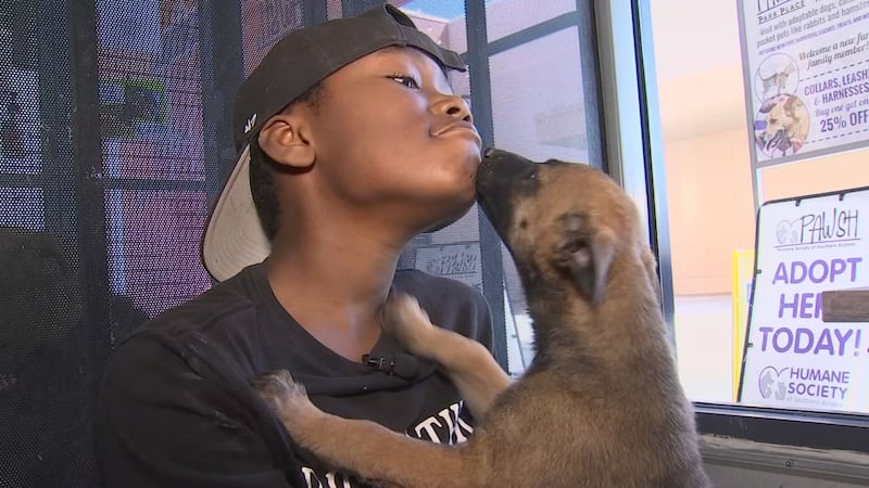 This kind 10-year-old loves dogs and has grown up with them most of his life.