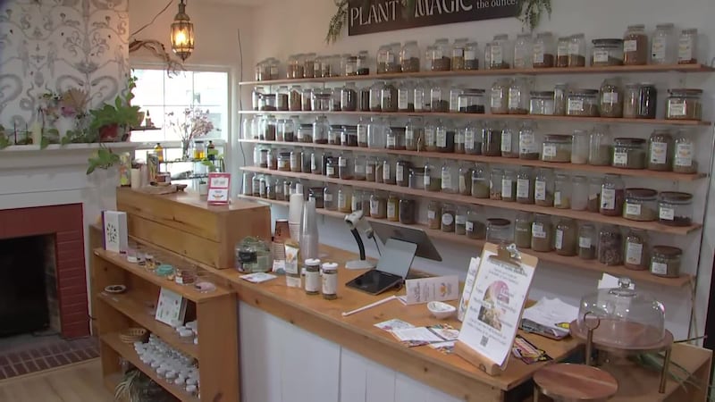 The owner of Tangled Root Botanicals assists people in learning about and utilizing natural...