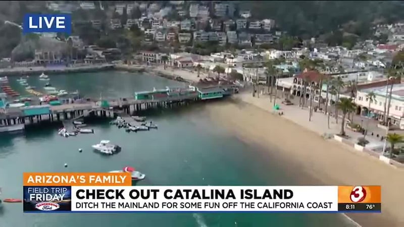 Aerial view of Catalina Island