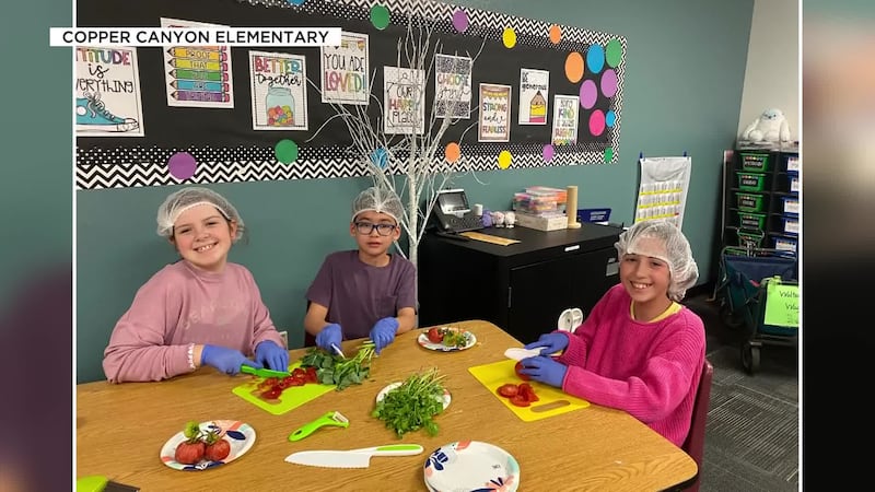 The Sprouts Healthy Communities Foundation selected three Valley schools to receive $10,000...