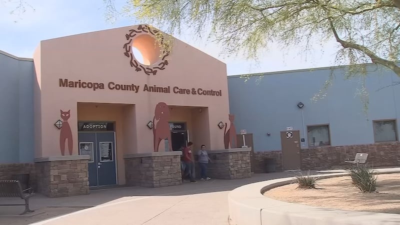 The waived adoptin fees is part of the BISSELL Pet Foundation’s “Empty The Shelters”...