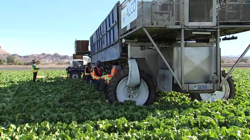 The study found Yuma only uses 8% of the region’s irrigation water.