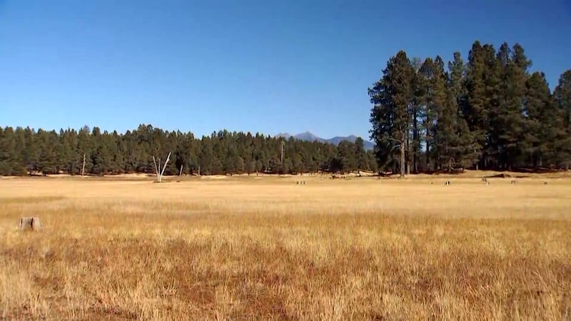 Low-level fire restrictions could be coming in the next few weeks for the High Country.