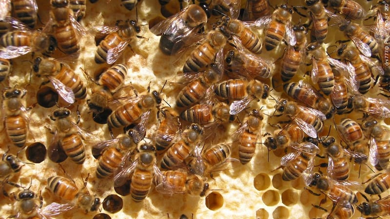 FILE