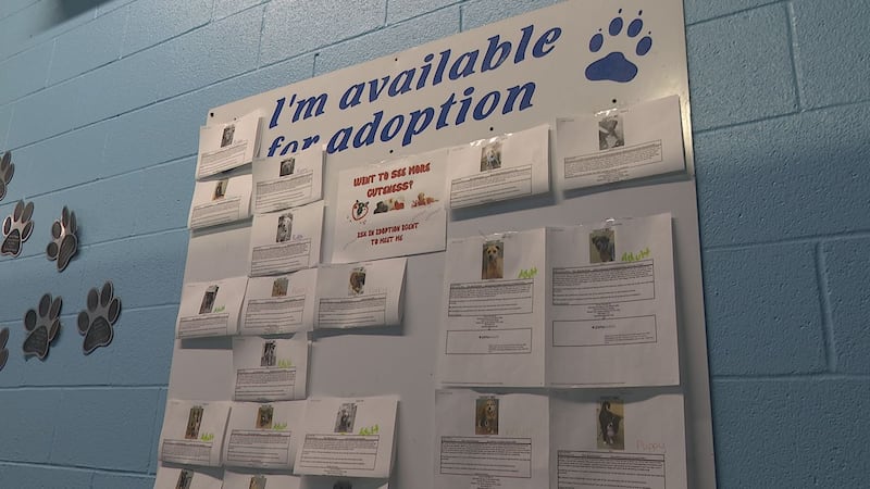 AAWL is looking for donations from the public to help their pets up for adoption.