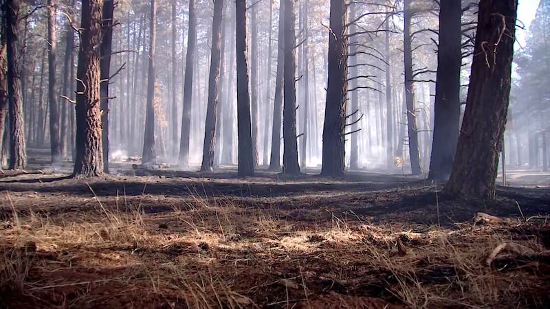 The dry weather is allowing fire crews to catch up on prescribed burns.