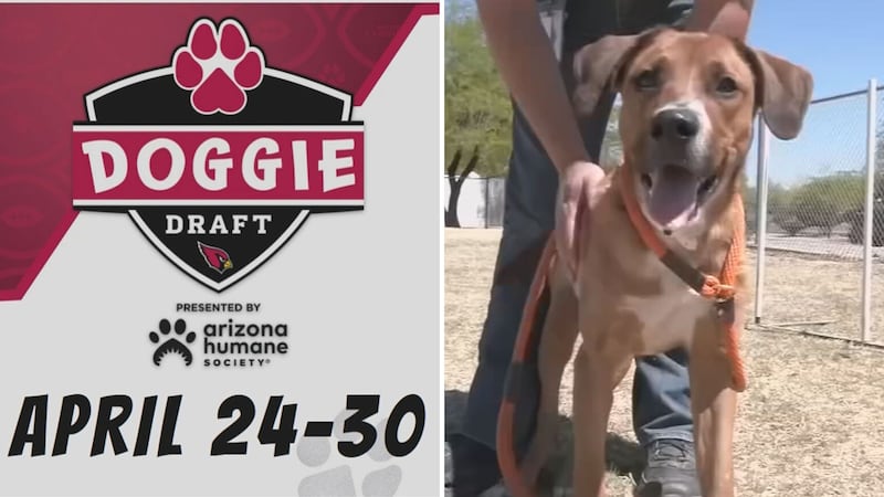From April 24-30, those looking to adopt a new furry friend can visit the team’s Pup Prospect...