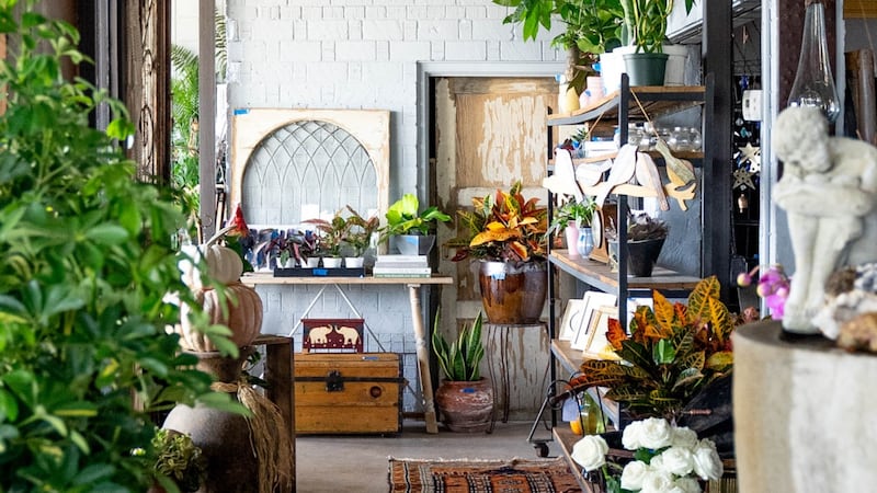 Urban Fraiche is a lifestyle store aimed to introduce customers to alternatives that lead to...