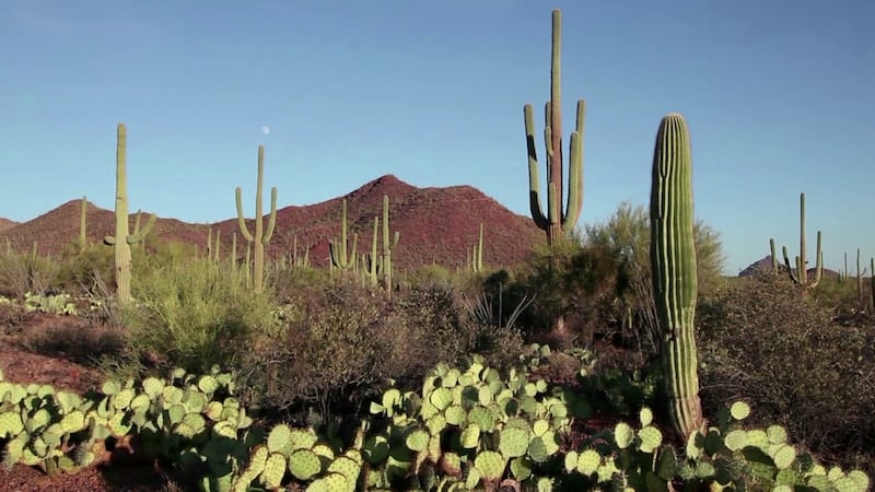 Nearly 40% of Arizona land is owned by the federal government.