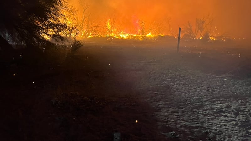 Dozens of firefighters are working to contain the Ranch Fire (pictured) and Cattle Fire, which...
