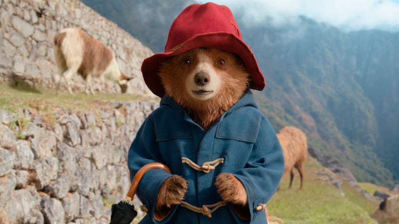 Paddington in PADDINGTON IN PERU.