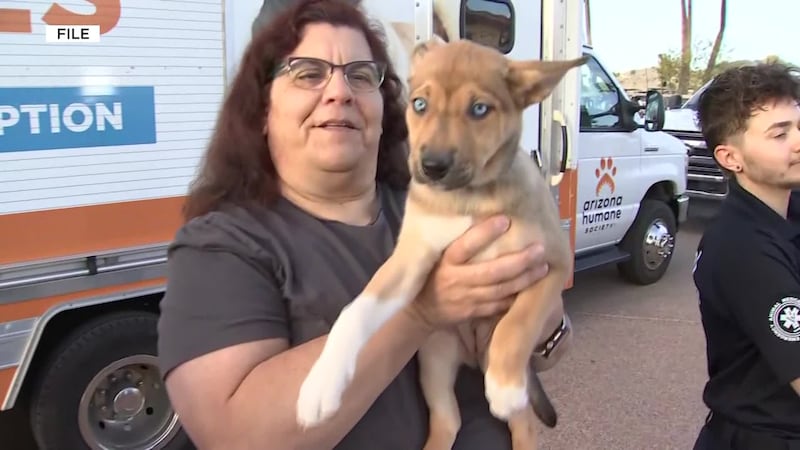 The annual “Home in One” golf tournament helped raise more than $20,000 to help pets in need...