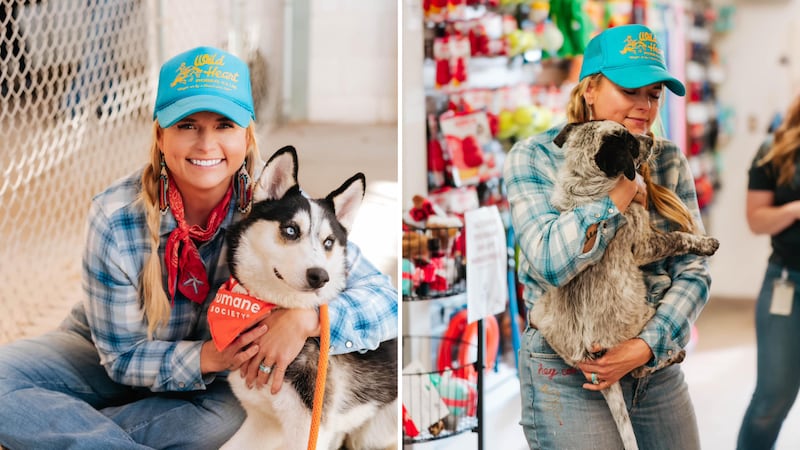 Lambert cuddled with tons of shelter animals and donated toys to all the pups through her...