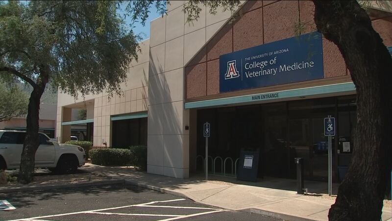 The University of Arizona recently opened the state's first veterinary school.