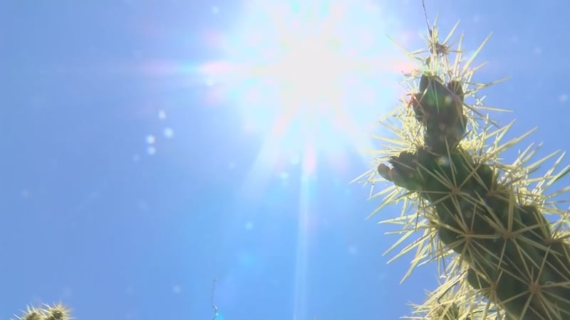 File photo of Phoenix heat - generic.