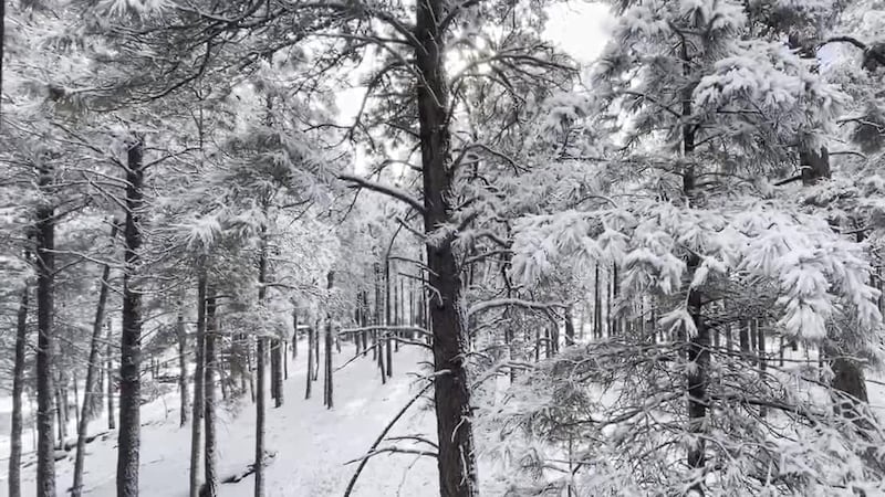 Flagstaff snow