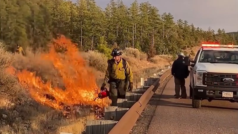 Crews will burn pockets of fuels inside the fire perimeter and hazardous areas.
