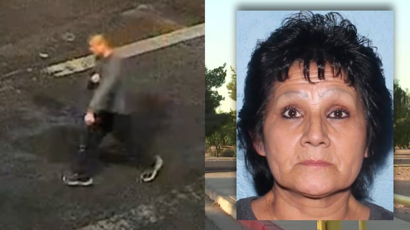 Unidentified person of interest, left and stabbing victim Judy Lopez, right.