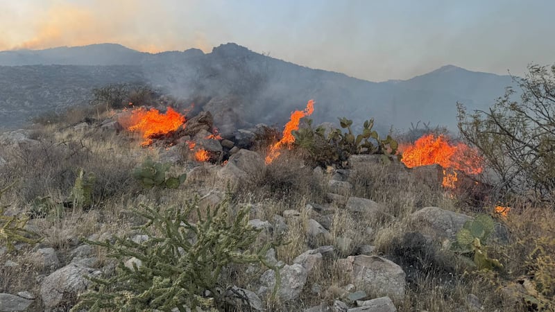 The Bureau of Land Management says the Soap Fire has burned hundreds of acres near Black...