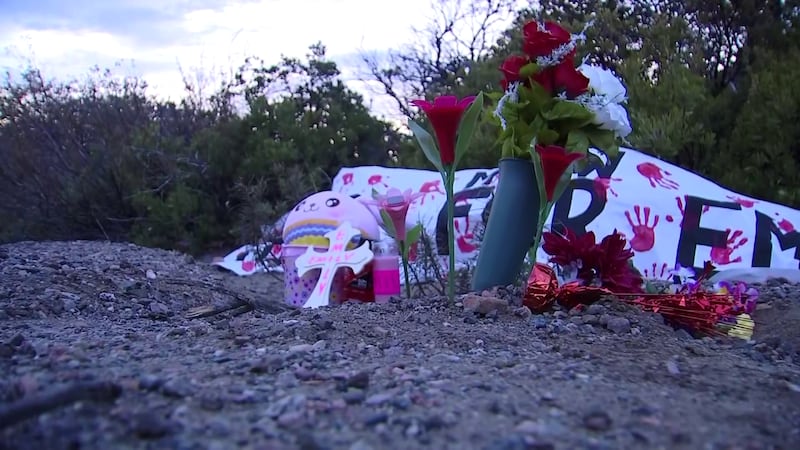 Emily Pike’s remains were found on Valentine’s Day off Highway 60 milepost 277 off Forest...