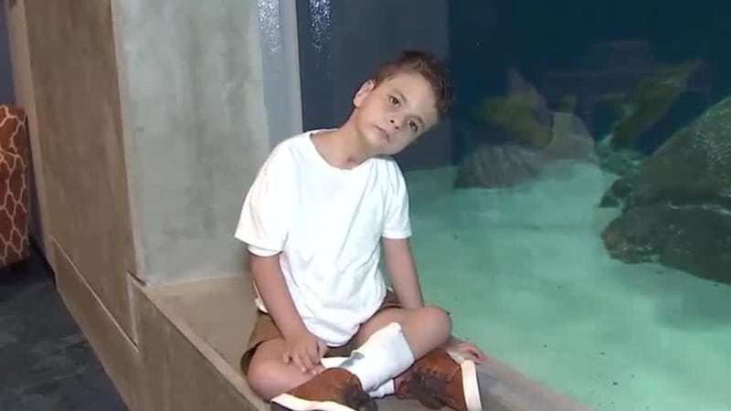 Steve, is a curious 8-year-old boy who is always paying attention to things going on around him.