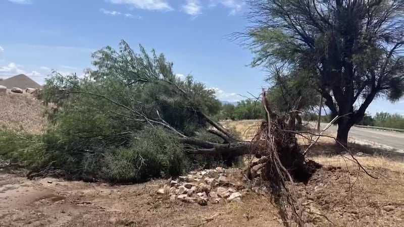 National Weather Service confirms Tucson tornado
