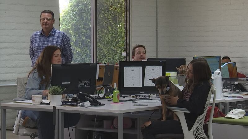 Some businesses say having brackets bring coworkers together.