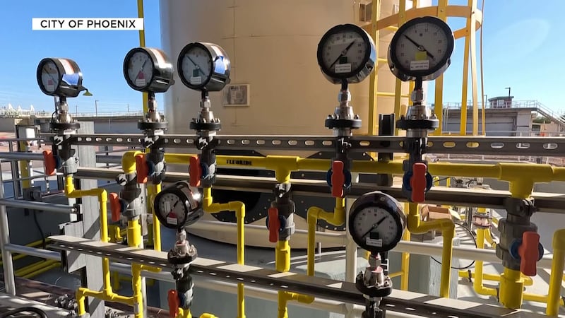 The City of Phoenix adds fluoride to its drinking water at a cost of $582,000 annually.