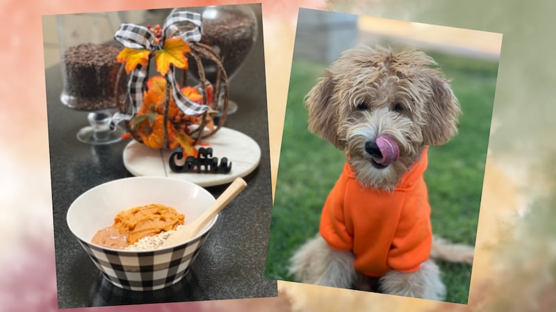 Sir Winston loves these treats!