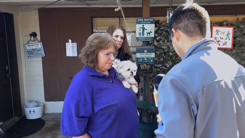 Kathy runs the Arizona Shih Tzu & Small Breed Rescue, taking in scores of unwanted dogs every...