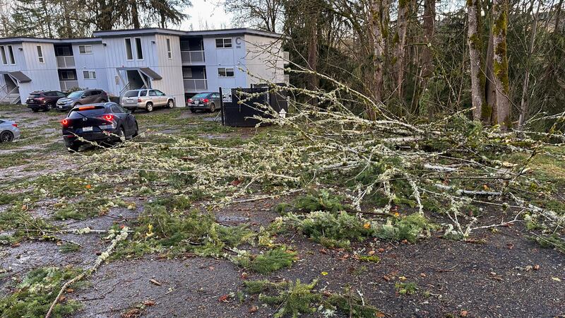 Damage is seen in a neighbourhood in Issaquah, Wash., Wednesday, Nov. 20, 2024, after a 'bomb...