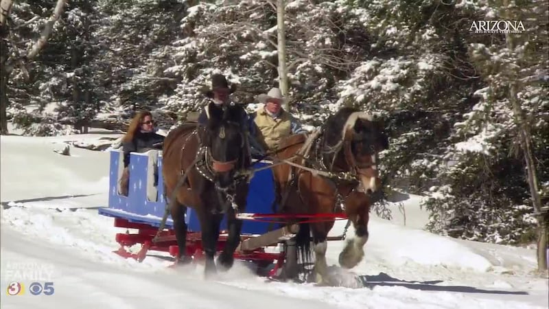 In this episode of "Arizona Highways TV," explore the magic of the holiday season with...