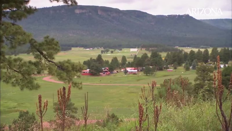 Join us on a journey to the beautiful White Mountains of Arizona, where we explore the unique...