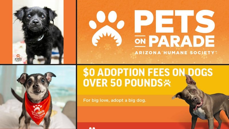 From the chance to win a staycation at the Westin Tempe to AHS winter gear for the pet lovers...