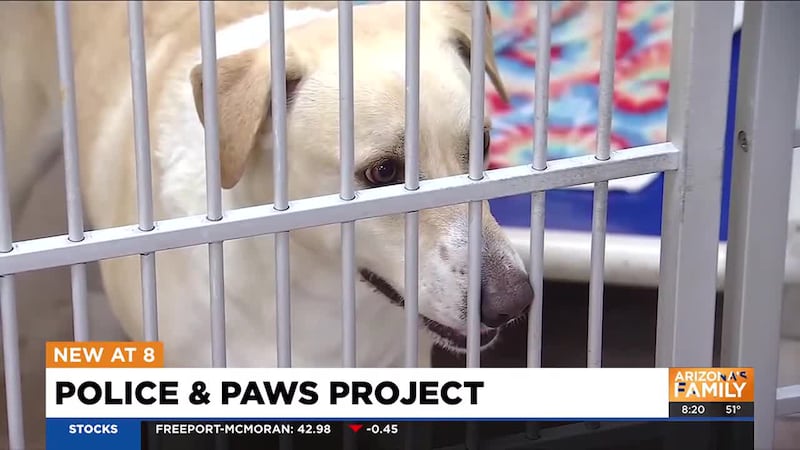 The Police and Paws Project is holding its yearly adoption event on Saturday and partnering...