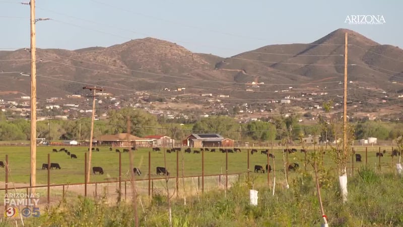Explore Arizona's State Route 69! From Dewey and Humboldt's history to Mama's Kitchen's...