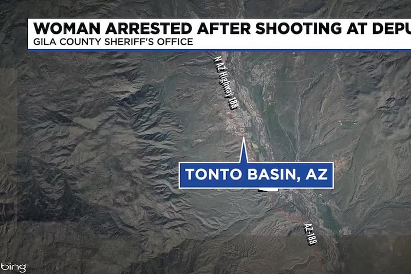 A suicidal woman is in jail after investigators said she shot three deputies with a pellet...
