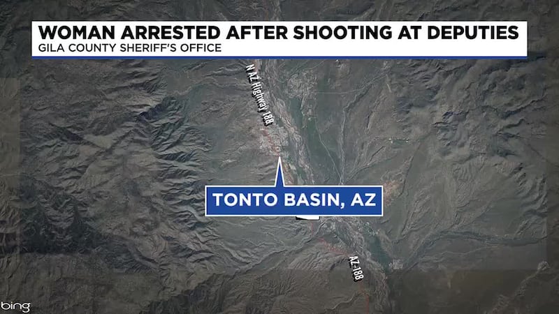 A suicidal woman is in jail after investigators said she shot three deputies with a pellet...