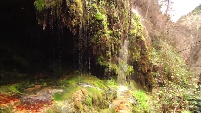 An easy day trip from the Phoenix area, discover the charm of Strawberry and Pine, hike Fossil...