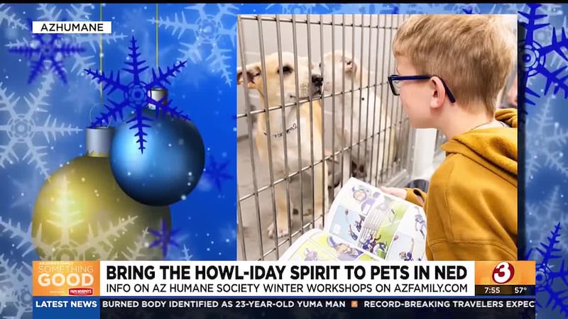 This year, you can be a hero by fostering a pet at the Arizona Humane Society and giving them...