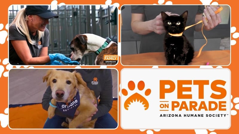 From Pints for Paws to puppy cuddles while enjoying Nothing Bundt Cakes, there is a little...