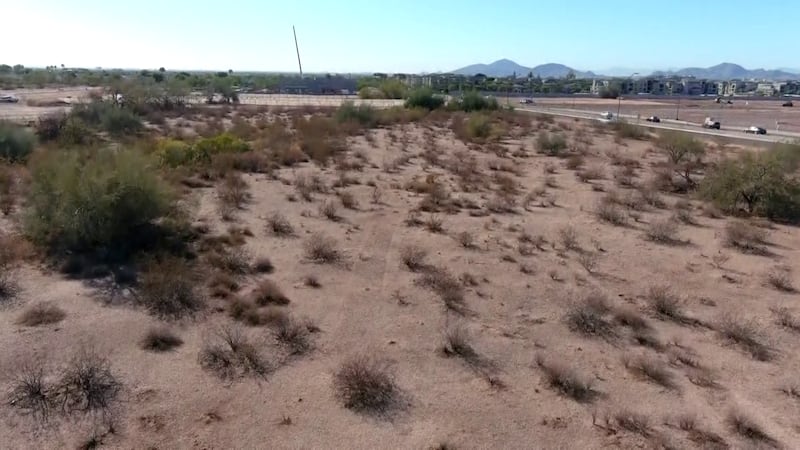 Scottsdale City Council approved a rezoning request that would let Axon to build a massive...