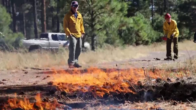 Governor Hobbs is calling for a 15% pay increase for state wildland firefighters, plus a $30...