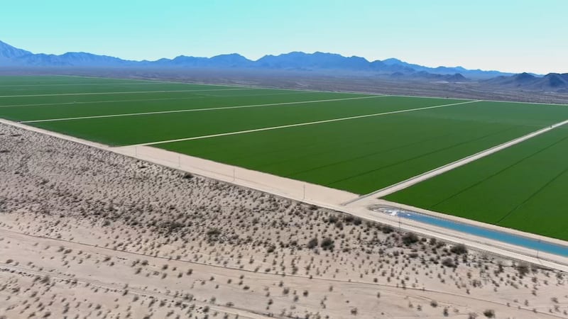 The company Fondomonte Arizona leases thousands of acres of state land in the Butler Valley.