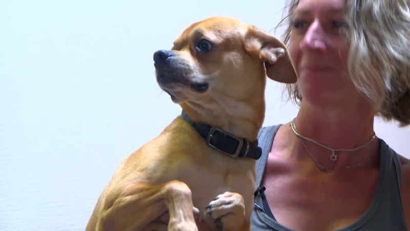Right now, it costs the shelter about $7,000 to cover the overhead.