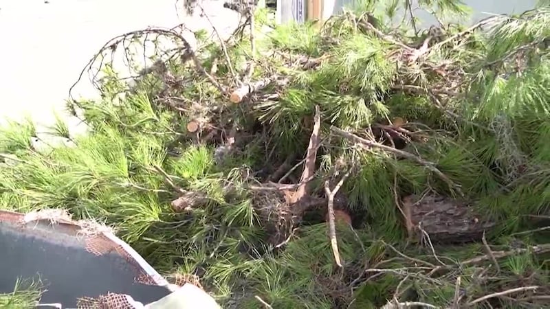 Several businesses are now dealing with damage after a rare tornado touched down in Lake Mary...