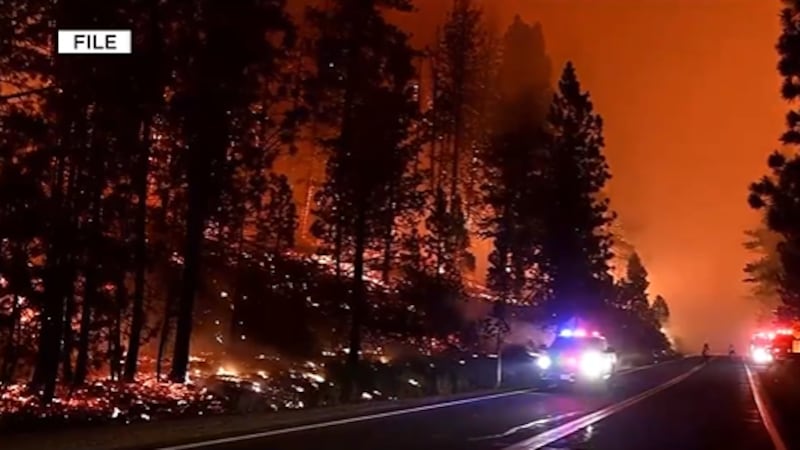 A new tool designed to monitor the location of wildland firefighters and aid with...