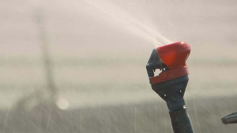 A report estimates the company uses enough water to supply about 54,000 homes.